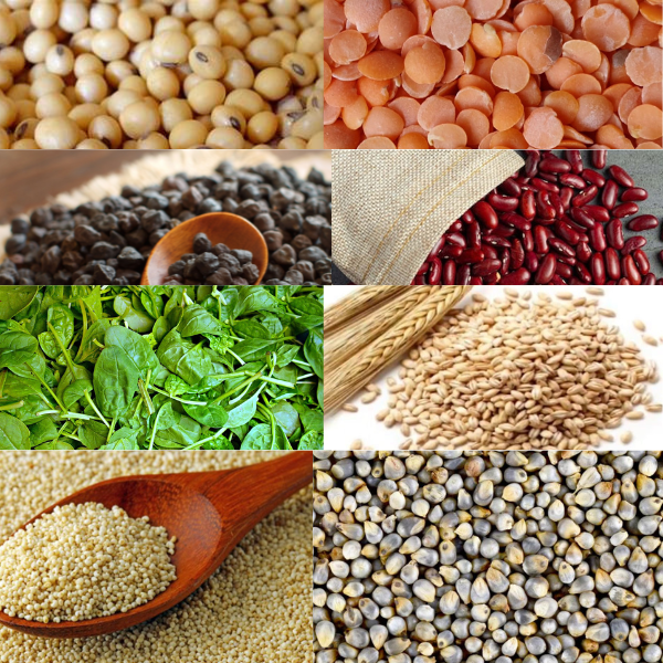 "10 आयरन युक्त अनाज" 10 Iron-rich grains